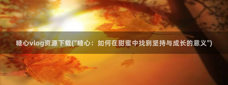 糖心vlog网站地址