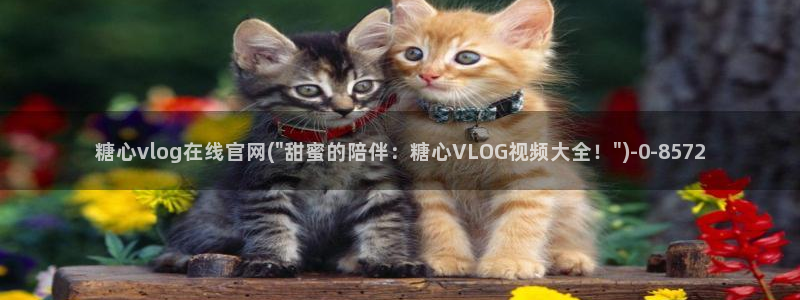 糖心vlog好看的女演员有哪些：糖心vlog在线官网(\