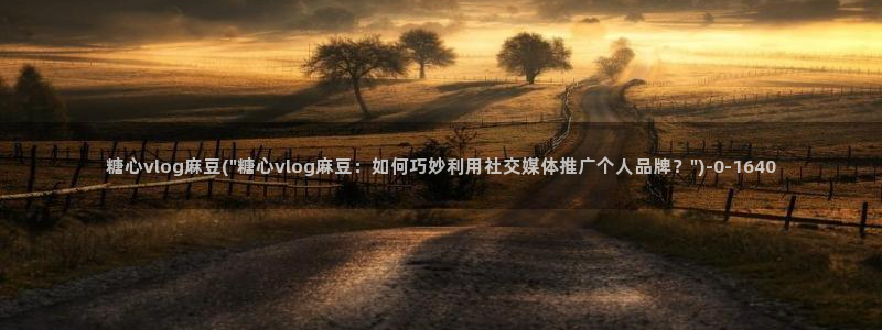 糖心,vlog
