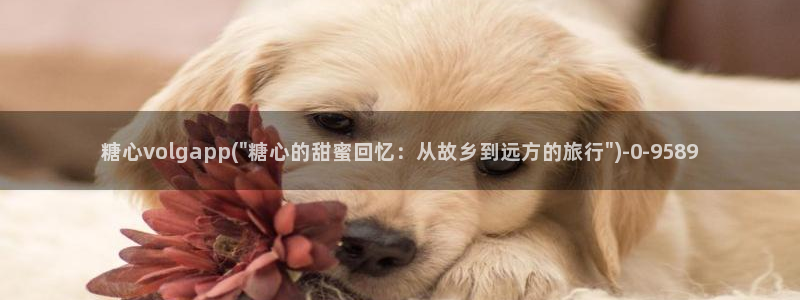 糖心vlog网页版免费观看 度