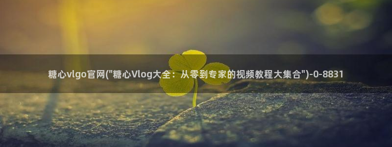 糖心 vlog破解版