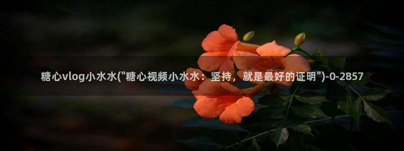 糖心vlog免费网站