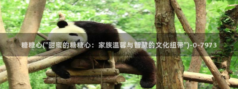唐伯虎糖心vlog高三